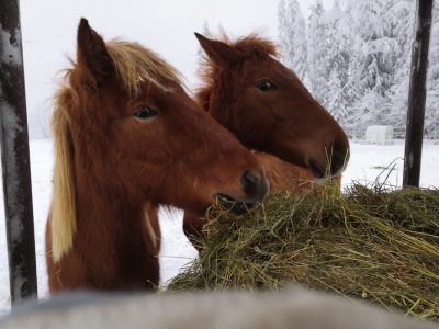 320191334_902374480755884_6384948031841025476_n